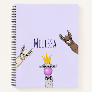 Carnet 3 Jolie Llama face à l'illustration de dessin