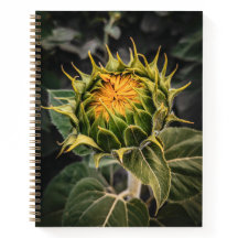 carnet 8,5 x 11