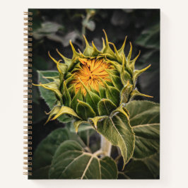 carnet 8,5 x 11