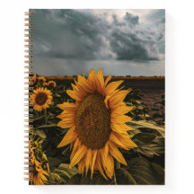carnet 8,5 x 11