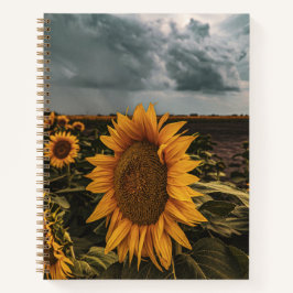 carnet 8,5 x 11