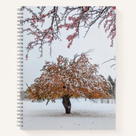 carnet 8,5 x 11