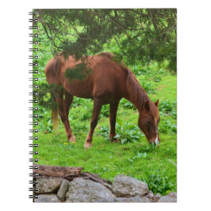 Carnet à cheval