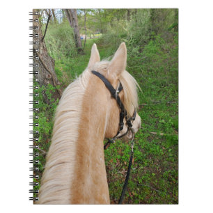 Carnet à cheval