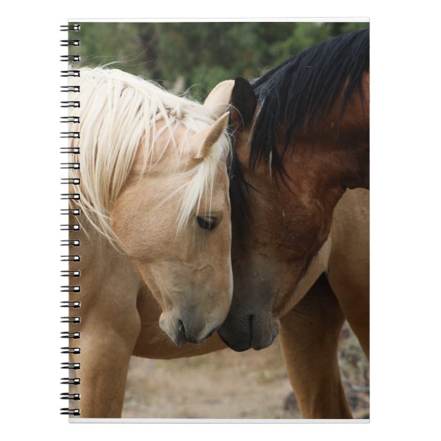 Carnet à chevaux sauvages (Devant)