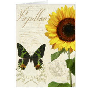 Carnet à dessins III d'histoire naturelle