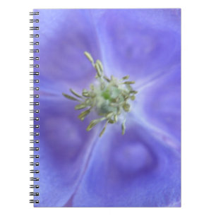 Carnet à fleurs Aquilegia