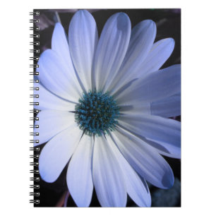Carnet à fleurs bleu marais