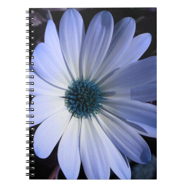 Carnet à fleurs bleu marais (Devant)