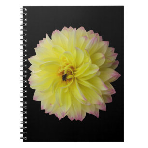 Carnet à fleurs de Dahlia