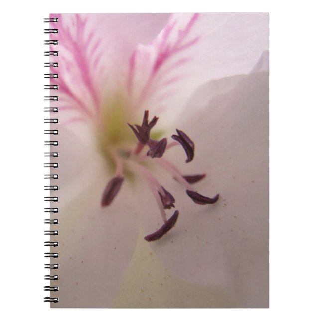 Carnet à fleurs de géranium (Devant)