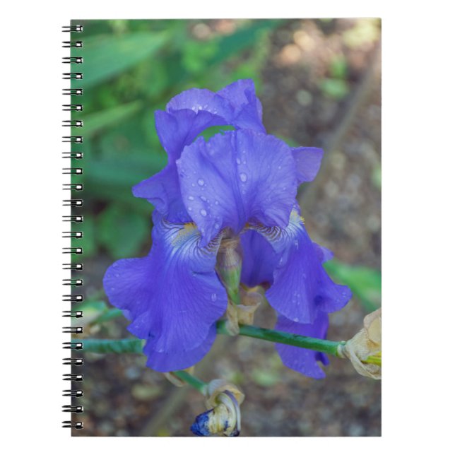 Carnet à fleurs d'iris bleu (Devant)
