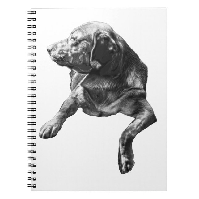 Carnet à poches, Labrador (Devant)