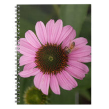 Abeille de miel sur la fleur de cône
