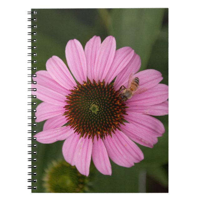 Carnet Abeille de miel sur la fleur de cône (Devant)