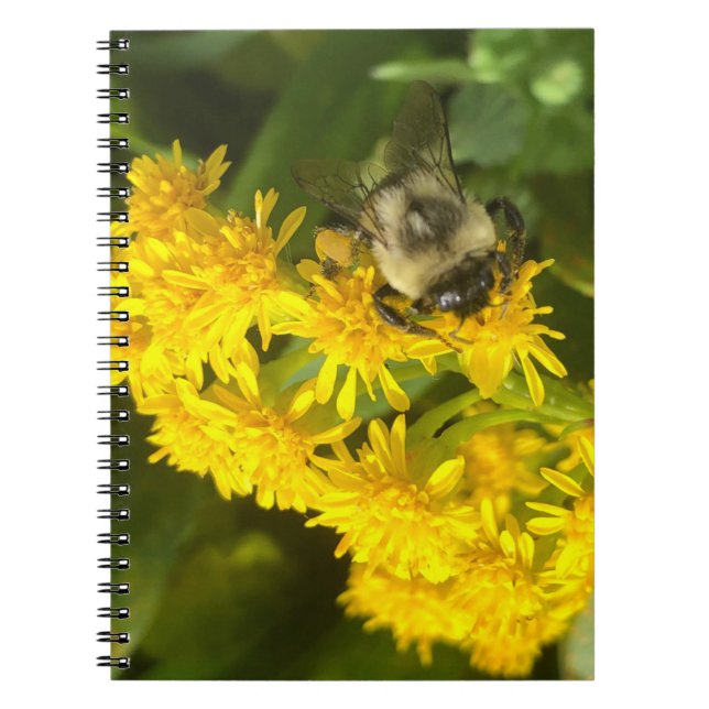 Carnet Abeille et fleurs (Devant)
