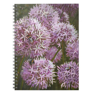 Carnet Abeilles 2014 d'été