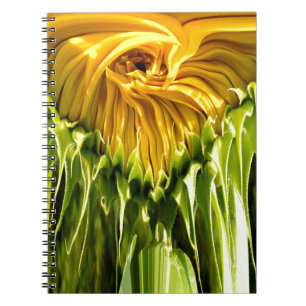 Carnet Abstrait tournesol rétro funky, géométrie effrayée
