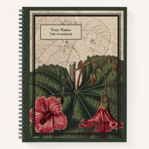 Carnet Abutilon Reverie
