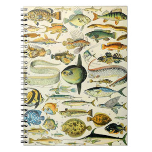 Carnet Adolphe Millot A
