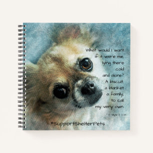 Carnet Adopter Un Abri - Chihuahua