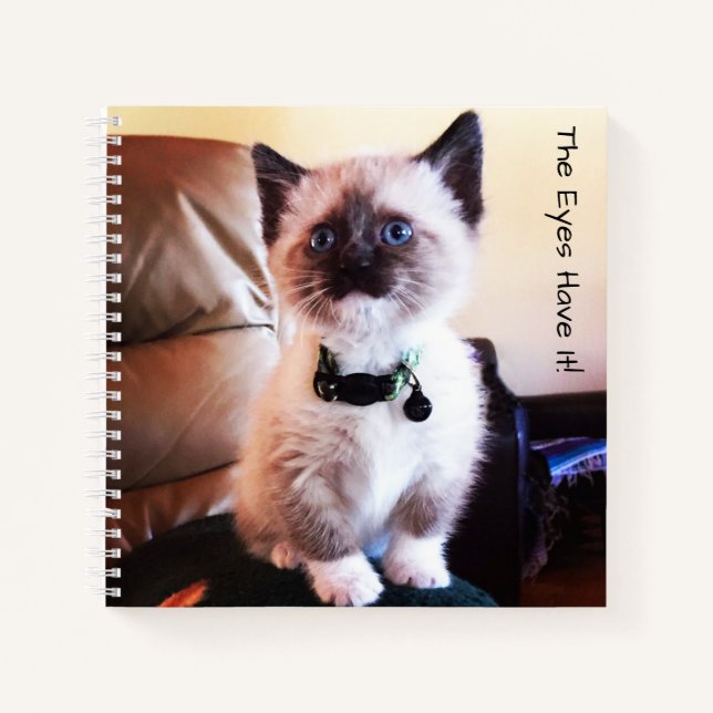 Carnet Adorable Masqué bleu teint Siamese Kitten Photo (Devant)