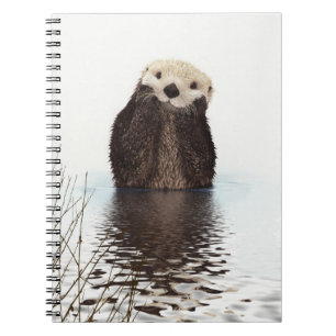 Carnet Adorable Otter souriant dans le lac