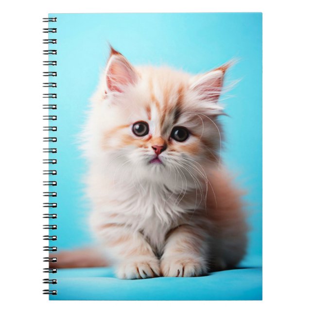 Carnet Adorable Potrait de chaton blanc-54971 (Devant)