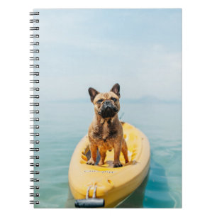 Carnet Adulte brun français taurin debout en kayak