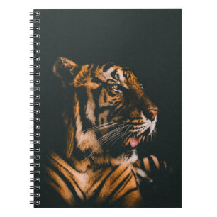 CARNET ADULTE TIGER PRONE MENANT À L'INTÉRIEUR DE LA SALL