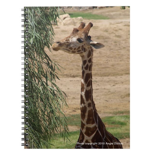 Carnet affamé de girafe (Devant)