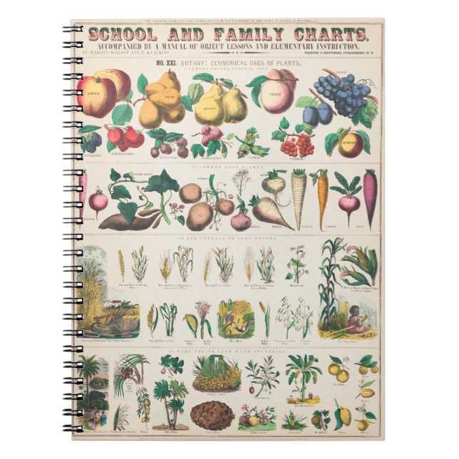 Carnet Affiche botanique de légumes (Devant)