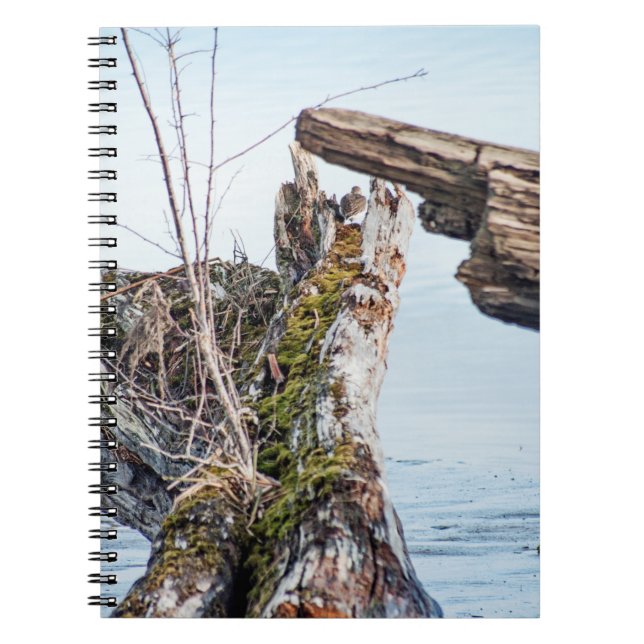 Carnet Afficher la boîte (Devant)