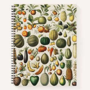 Carnet Affiches de fruits botaniques français vintage