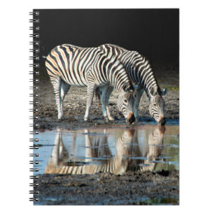 Carnet Afrique,Botswana, Delta de l'Okavango, Davison Cam