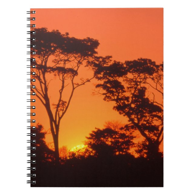 Carnet Afrique du Sud. Coucher de soleil africain. (Devant)