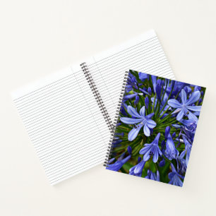 Carnet Agapanthe Bleue du Nil Floral
