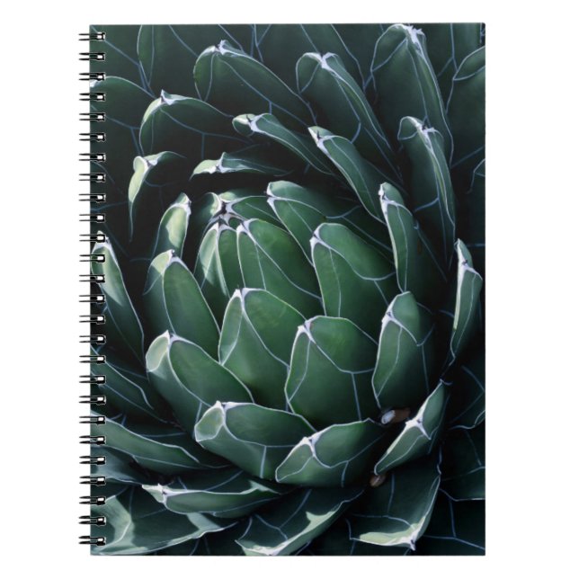 Carnet Agave vert (Devant)
