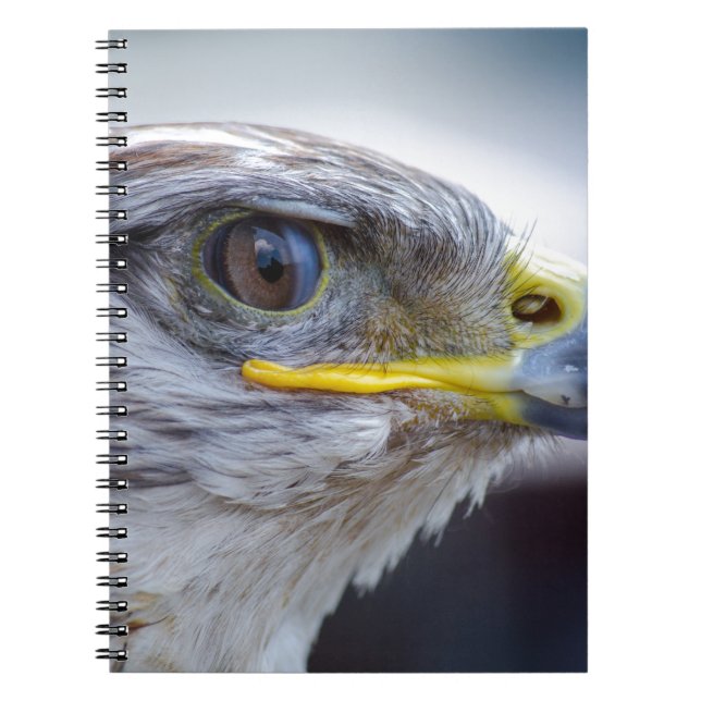 Carnet Aigle (Devant)