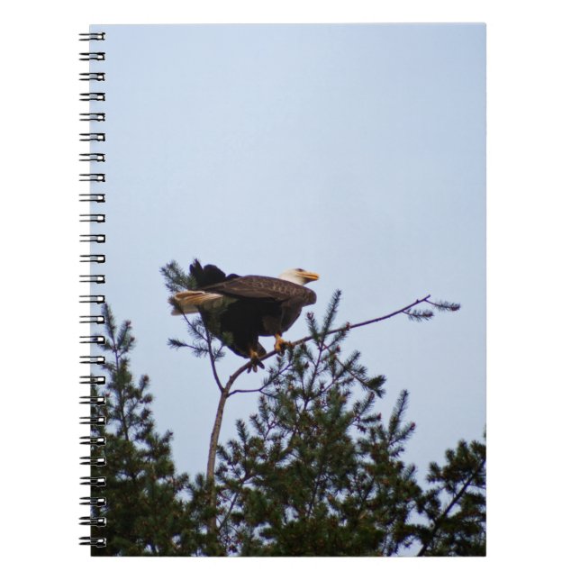 Carnet Aigle de Bald (Devant)