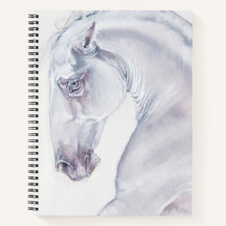 Carnet Albinl Sallion