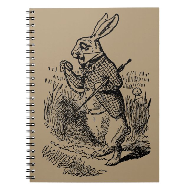 Carnet Alice vintage au pays des merveilles (Devant)