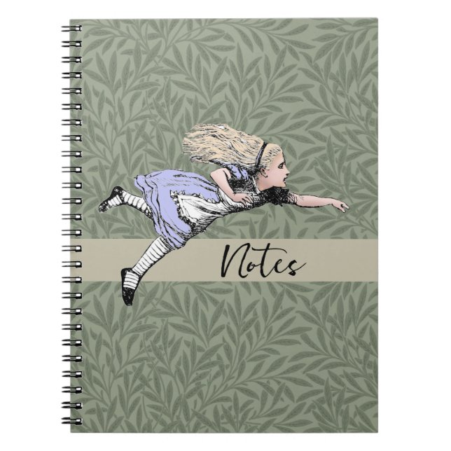 Carnet Alice volante au pays des merveilles (Devant)