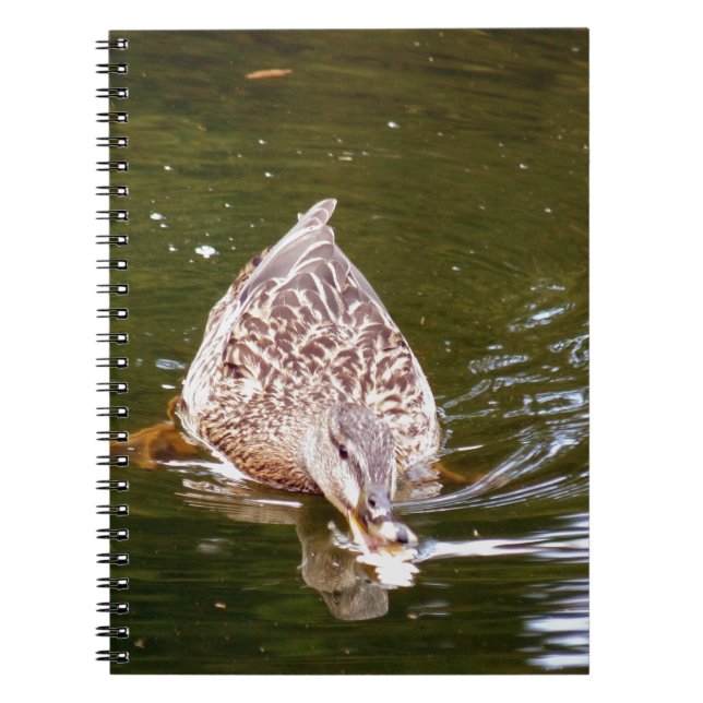 Carnet Alimentation Cute Duck (Devant)