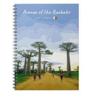 Carnet Allée des Baobabs, Madagascar - Paysage