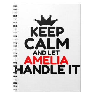 CARNET AMÉLIE