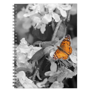 Carnet American Lady Butterfly Spiral Notebook