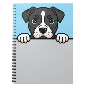 Carnet American Staffordshire Terrier Custom Amstaff Chie