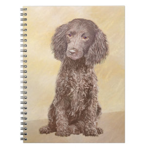 Carnet American Water Spaniel Peinture - Original Dog Art