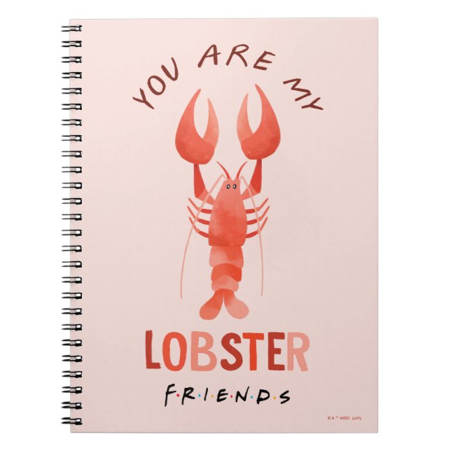 Carnet AMIS™ | Vous êtes mon homard aquarelle graphique (Devant)